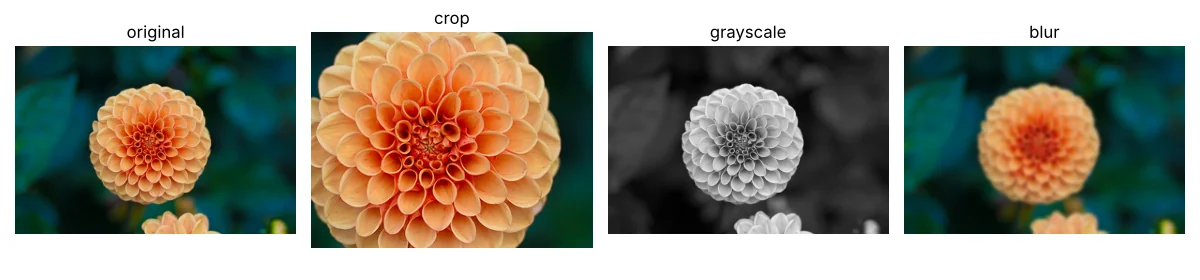 Original, cropped, grayscale and blurred versions of a flower photo